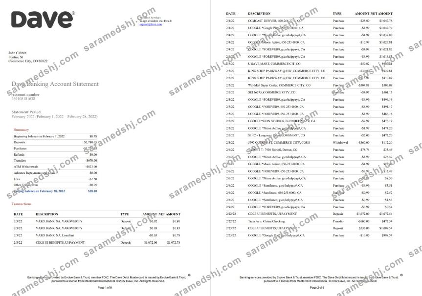 USA Dave bank account statement 5 pages